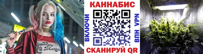 Шишки марихуана сатива Нижнекамск